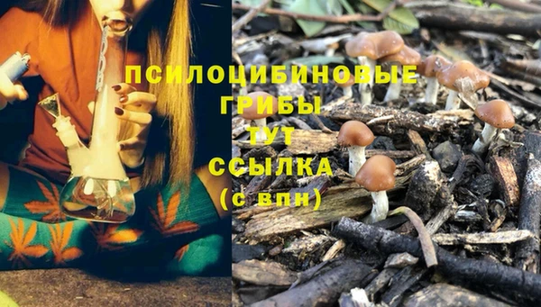 молекула духа Богородск