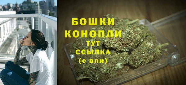 молекула духа Богородск