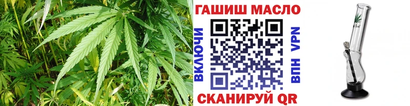 магазин продажи наркотиков  кракен как зайти  ТГК жижа  shop Telegram  Городец 