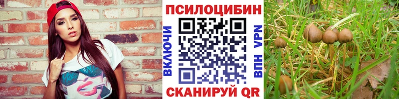 сколько стоит  Городец  Галлюциногенные грибы мицелий 