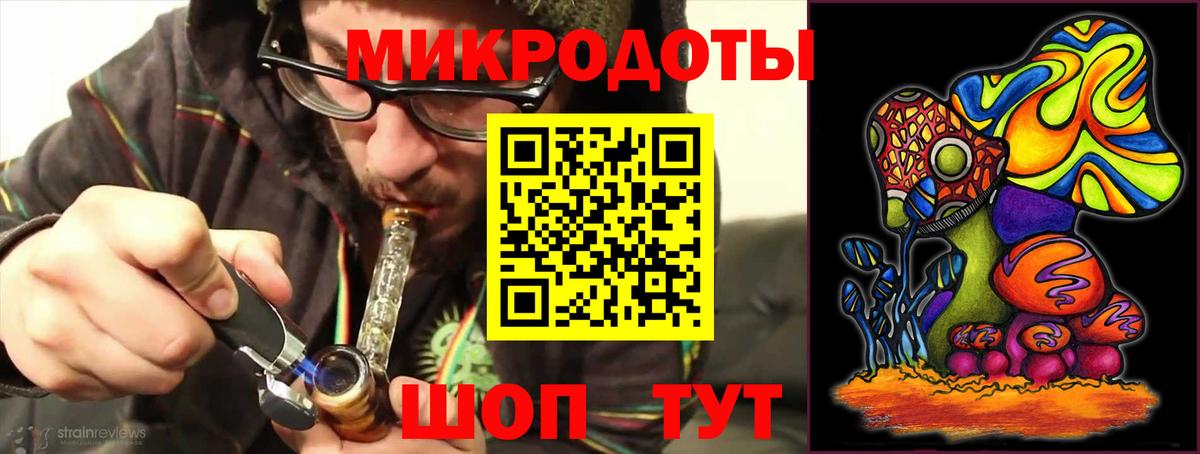 Псилоцибиновые грибы Psilocybine cubensis Городец